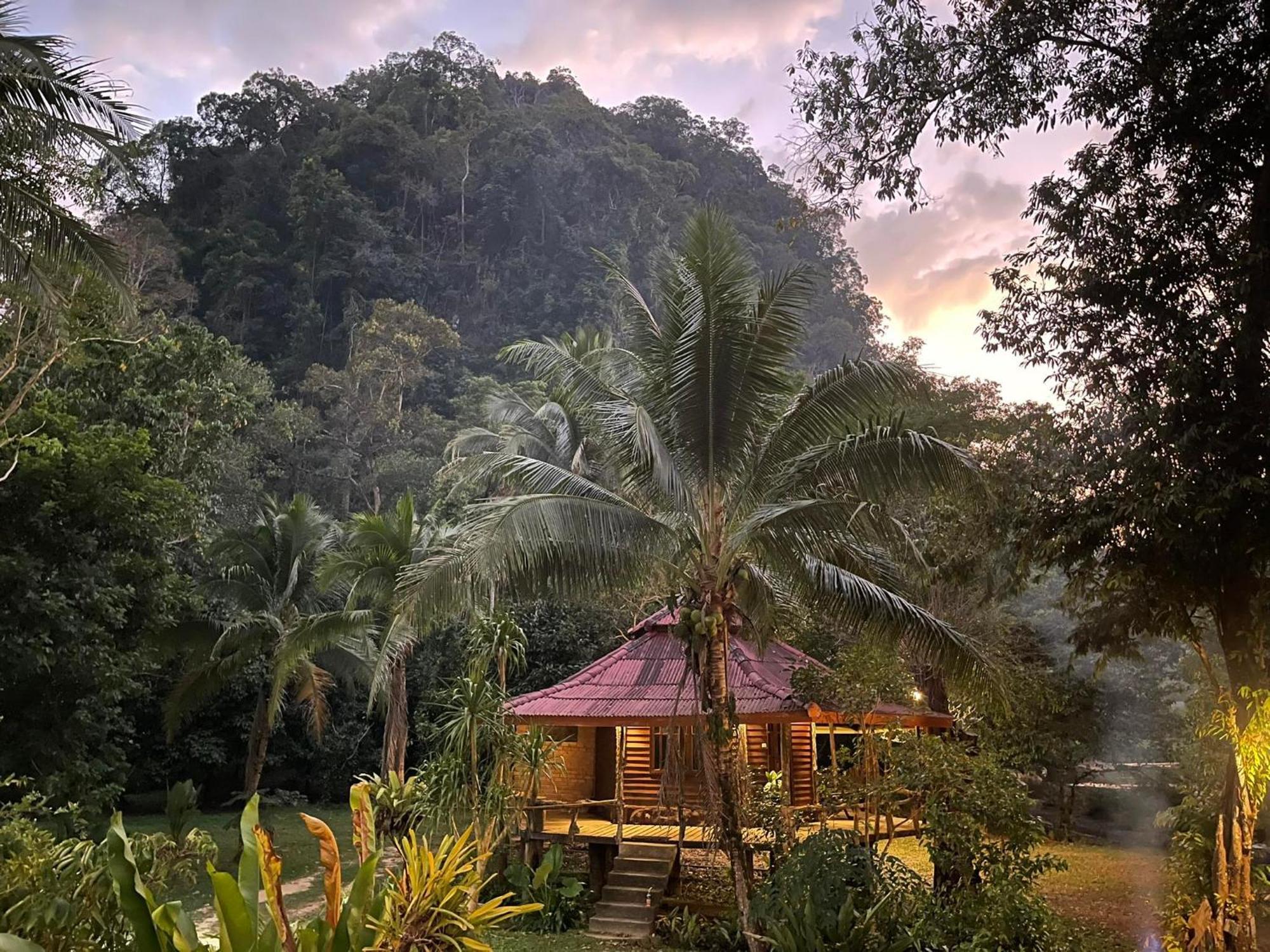 Khaosok Monkeys & River Camps Khao Sok National Park Exterior foto